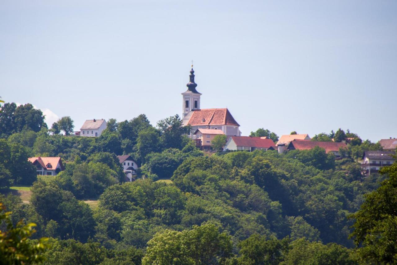 Apfelhaus Villa Wagna Kültér fotó