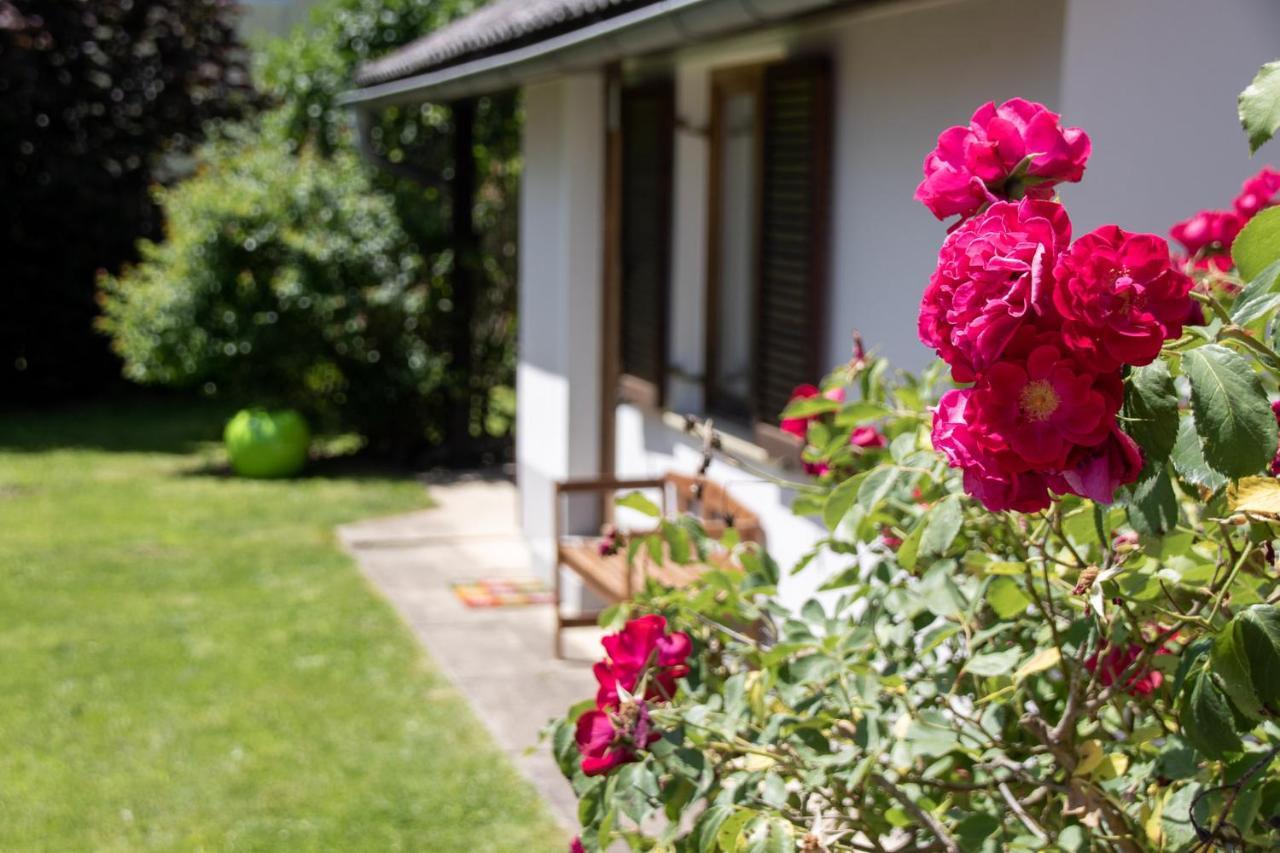 Apfelhaus Villa Wagna Kültér fotó